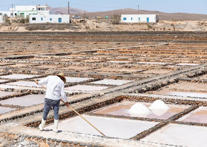 Home2book Cozy Apartamento