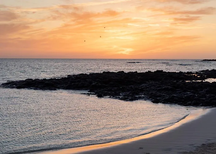 Apartamento Home2book Cozy