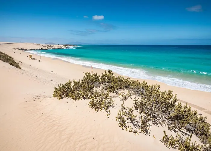 Apartamento Home2book Cozy *