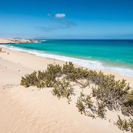 Апартаменты Home2book Cozy *